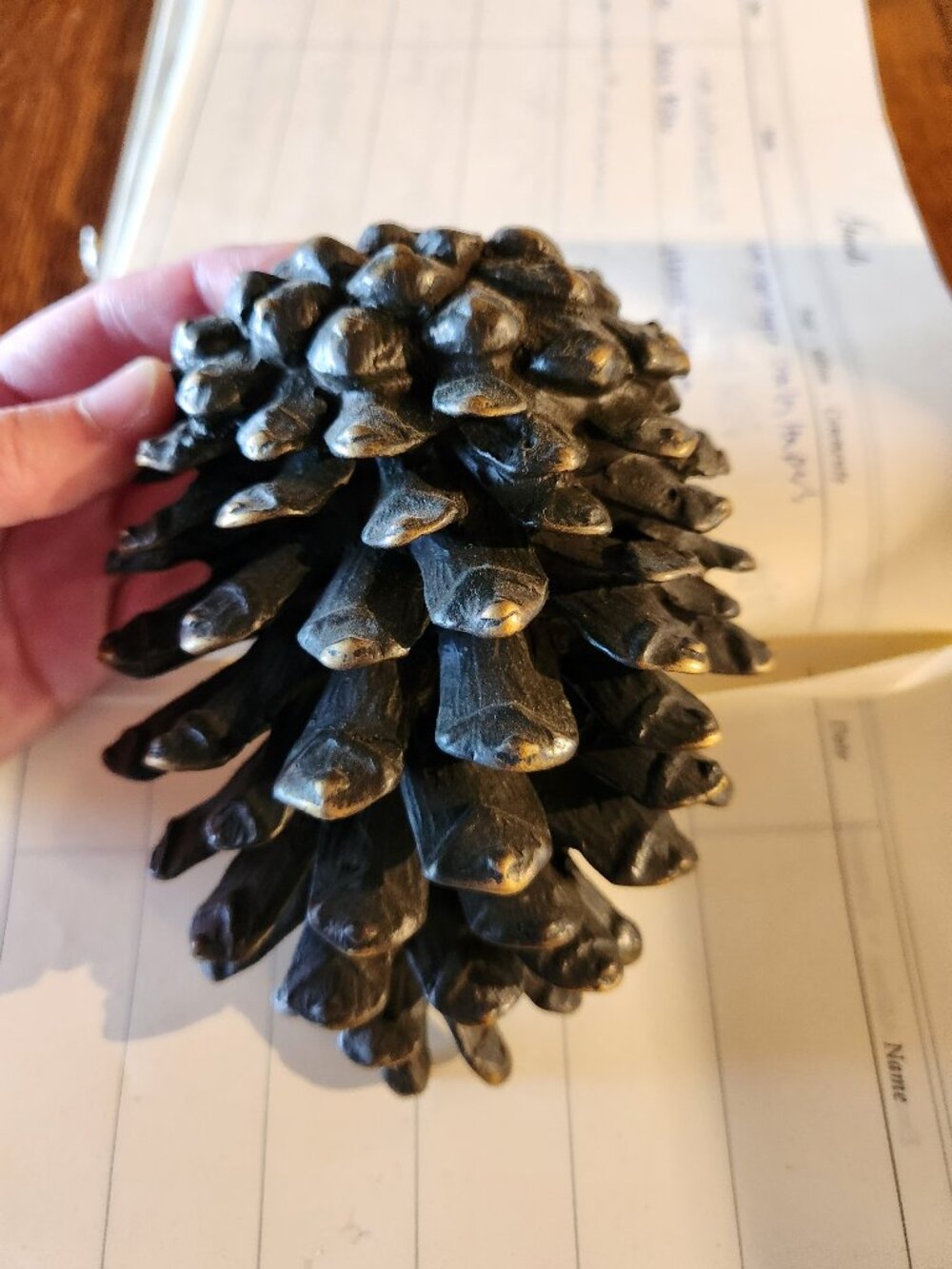Vintage Brass Pinecone Door Knocker